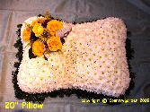 pillow W P 1